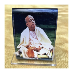 Obrázek Prabhupád 12 x 9,5 cm