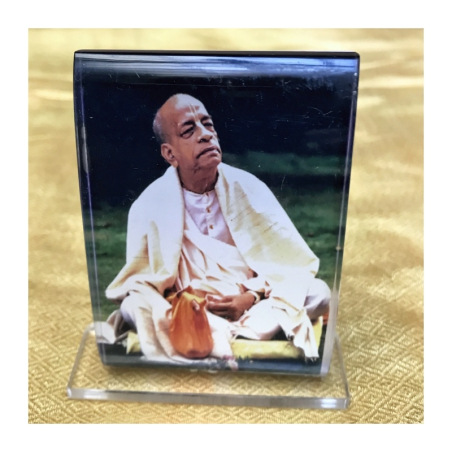 Obrázek Prabhupád 12 x 9,5 cm
