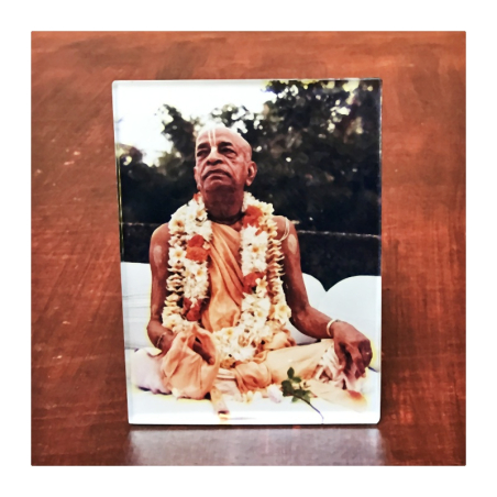 Obrázek Prabhupád 14 x 10 cm