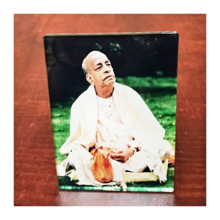 Obrázek Prabhupád s čadarem 14 x 10 cm
