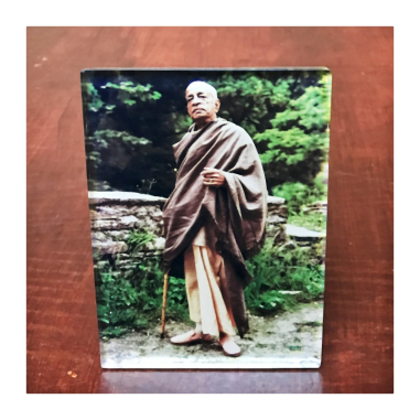 Obrázek Prabhupád s čadarem 14 x 10 cm