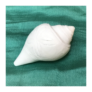 Parafenálie - lastura