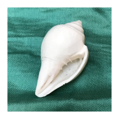 Parafenálie - lastura 2