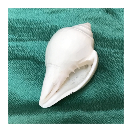 Parafenálie - lastura