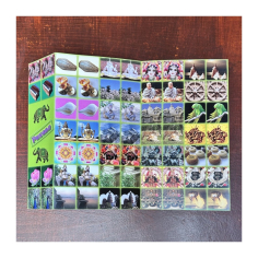 Pexeso s indickými motivy