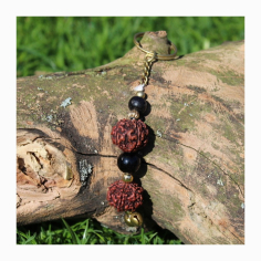 Klíčenka rudrakša 2